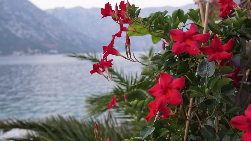 Penthouse Stoliv New Spa-Pool Villa Is Located 5M From The Sea, Exclusive Terrace,Private Jetty Wih Sunbeds, Pebble Beach, Secluded Location Total Area 375M2 At Your Disposal Kotor Exteriér fotografie